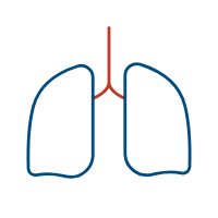 wired-outline-1266-lungs