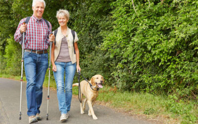 The Best Walking Trails and Parks for Seniors in Galesburg