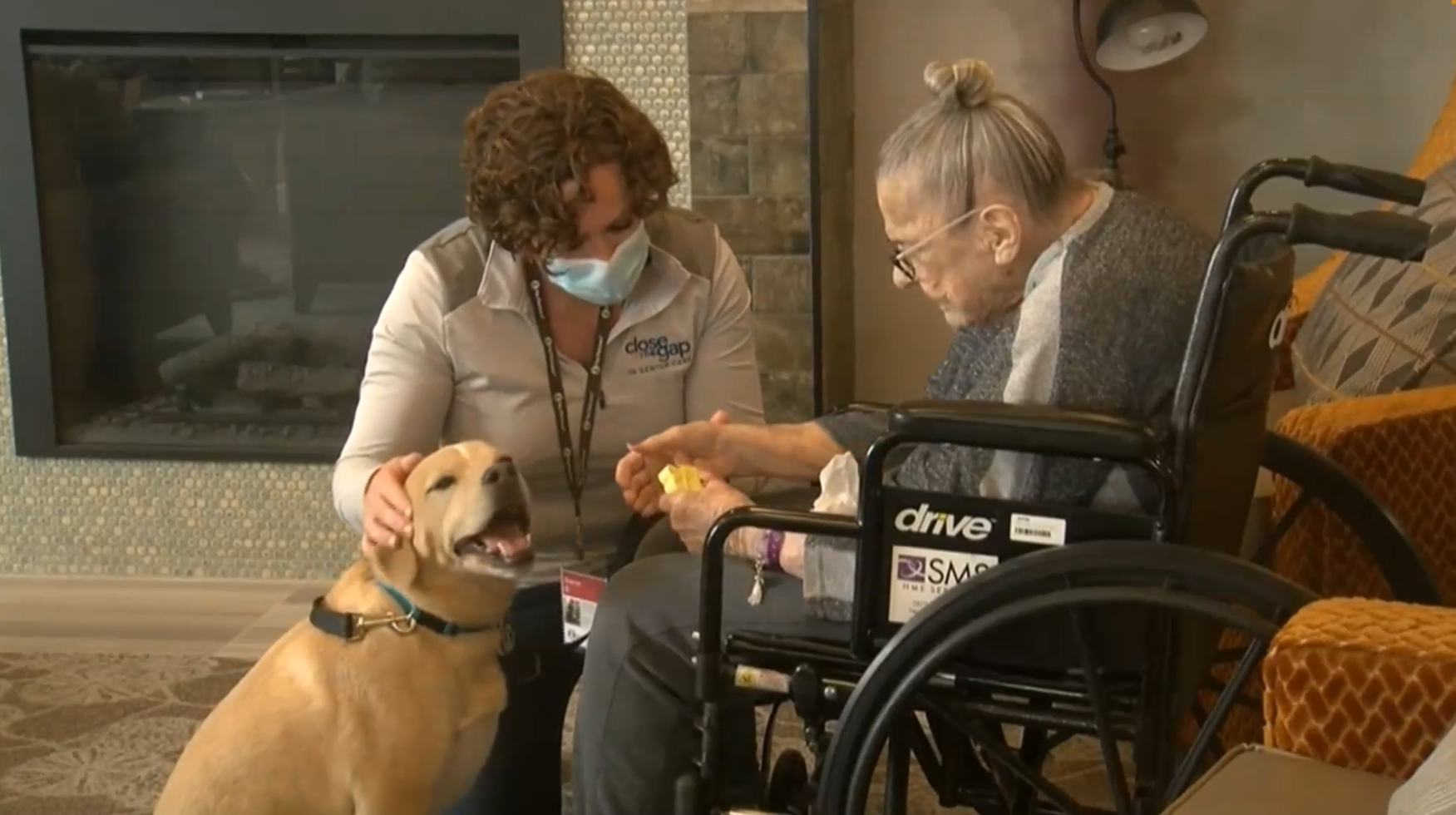 Caregiver assisting seniors with daily tasks